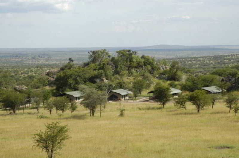 Mbuzi Mawe Serena Camp 세렝게티 외부 사진